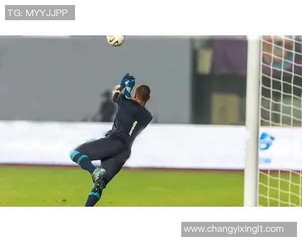 遮牌照足球的魅力与挑战探索足球运动中的隐秘规则与战术策略